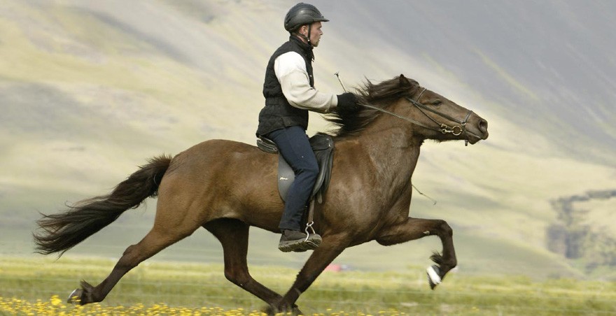 fast_horse_riding.jpg
