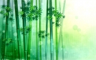 Be Like Bamboo: Patient, Strong, and Flexible