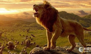 电影《狮子王真人版》中英对照剧本字幕