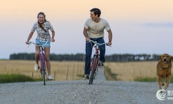 电影《一条狗的使命》MP3音频+LRC字幕