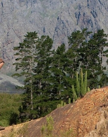 纪录片《美国：我们的故事》MP3音频+LRC字幕