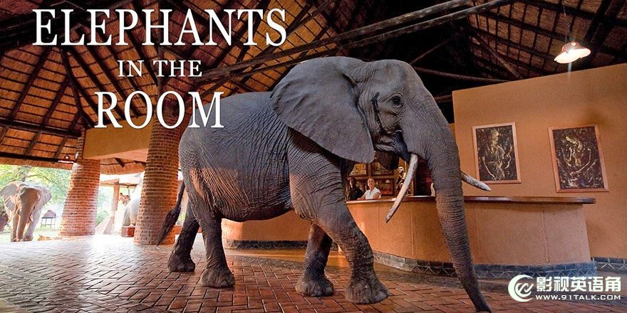 Elephants-in-the-room.jpg