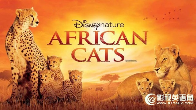 African-Cats.jpg