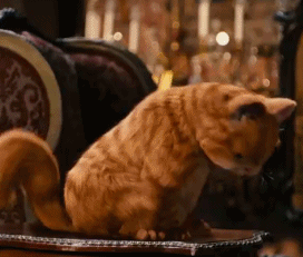 ed7db5b2a43516dda81f42fd1a178ffa.gif