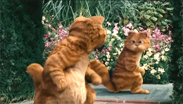 69a3e61a7ce63cb24a18634455388575.gif