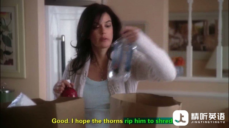 Rip.sb.to.shreds-DH.jpg
