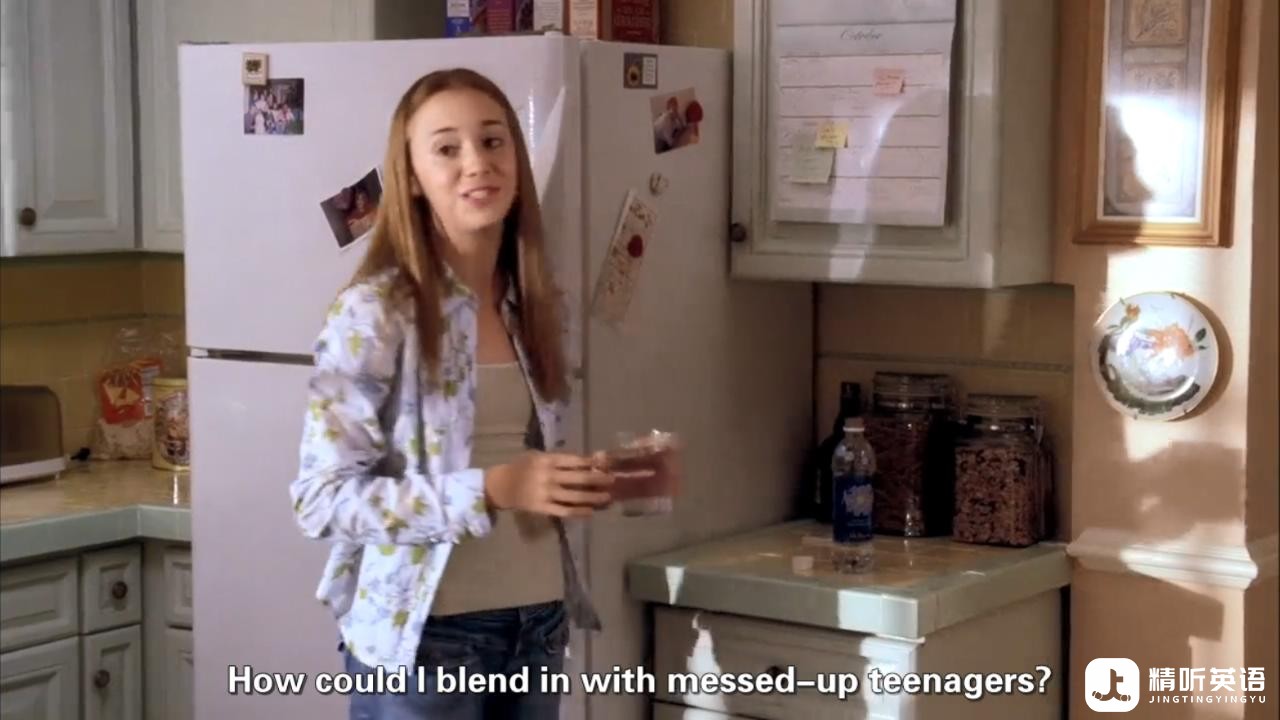 blend.in.jpg